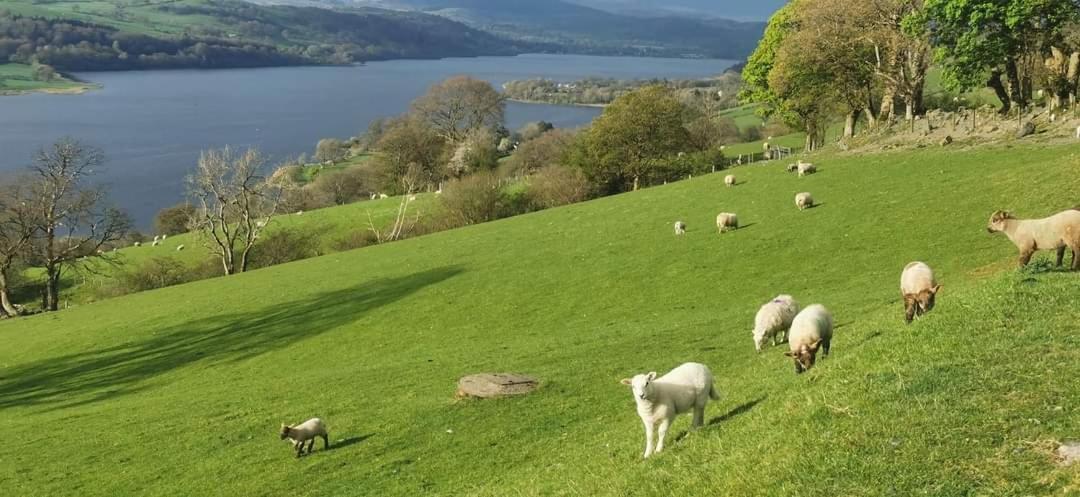 Lake View Farmhouse Escape Bala Esterno foto